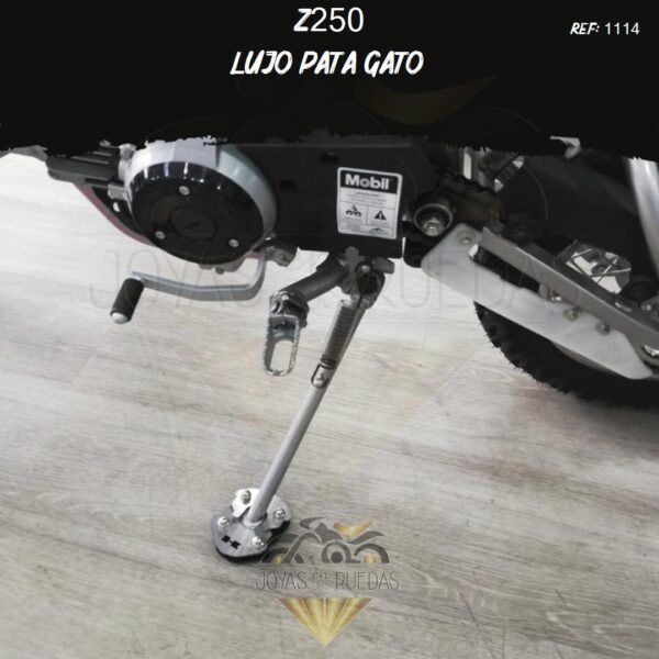motos Z250 lujo pata gato