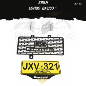 ER6N kit protector radiador mordaza porta placa