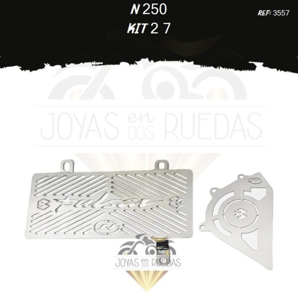N 250 kit protector radiador protector piñon