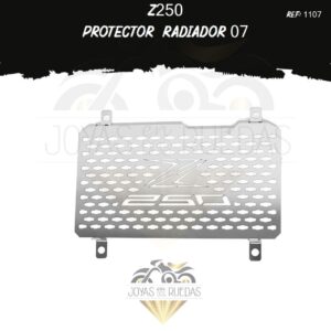 accesorios Z250 protector radiador