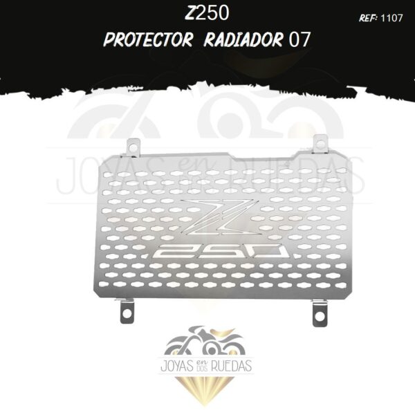 accesorios Z250 protector radiador