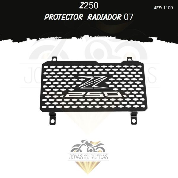 parte Z250 protector radiador