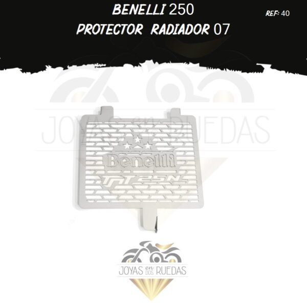 Benelli 250 lujos protector radiador